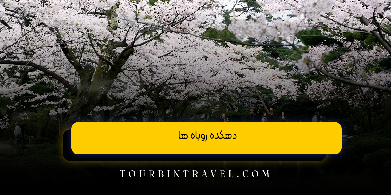 دهکده روباه ها