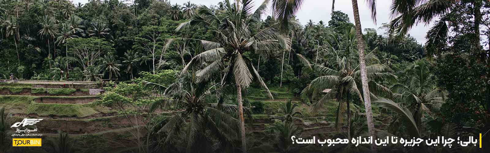 بالی؛ چرا این جزیره تا این اندازه محبوب است؟