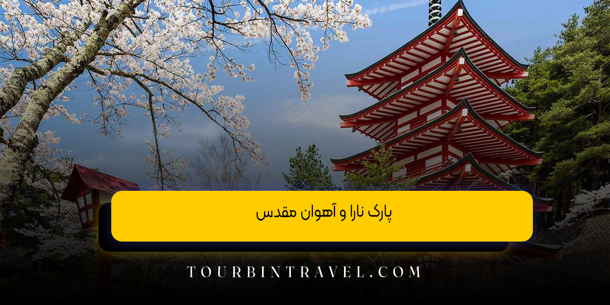 پارک نارا و آهوان مقدس