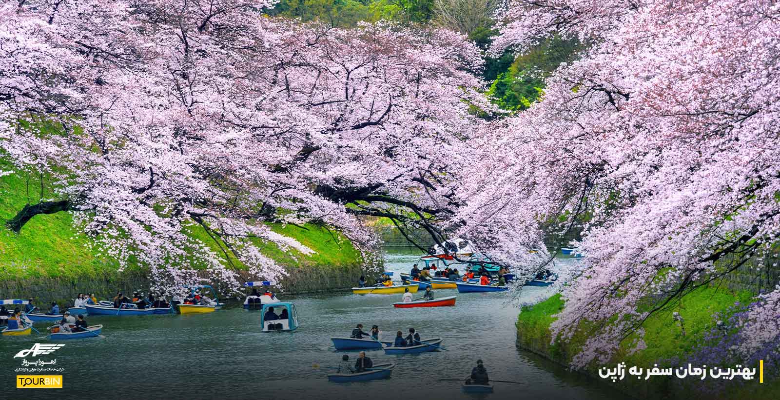 بهترین زمان سفر به ژاپن