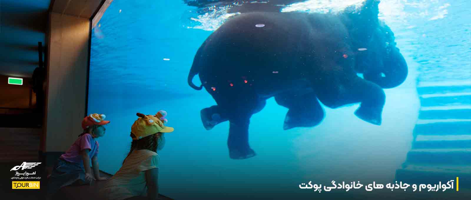 آکواریوم و جاذبه های خانوادگی پوکت