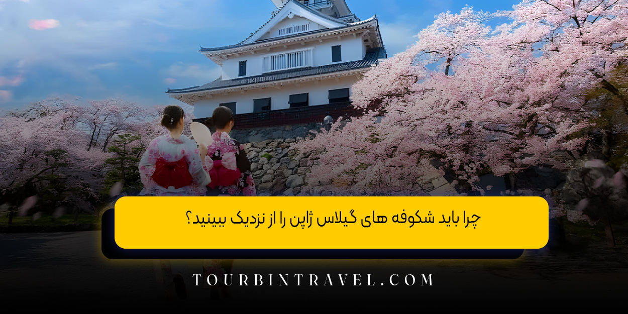 چرا باید شکوفه ‌های گیلاس ژاپن را از نزدیک ببینید؟