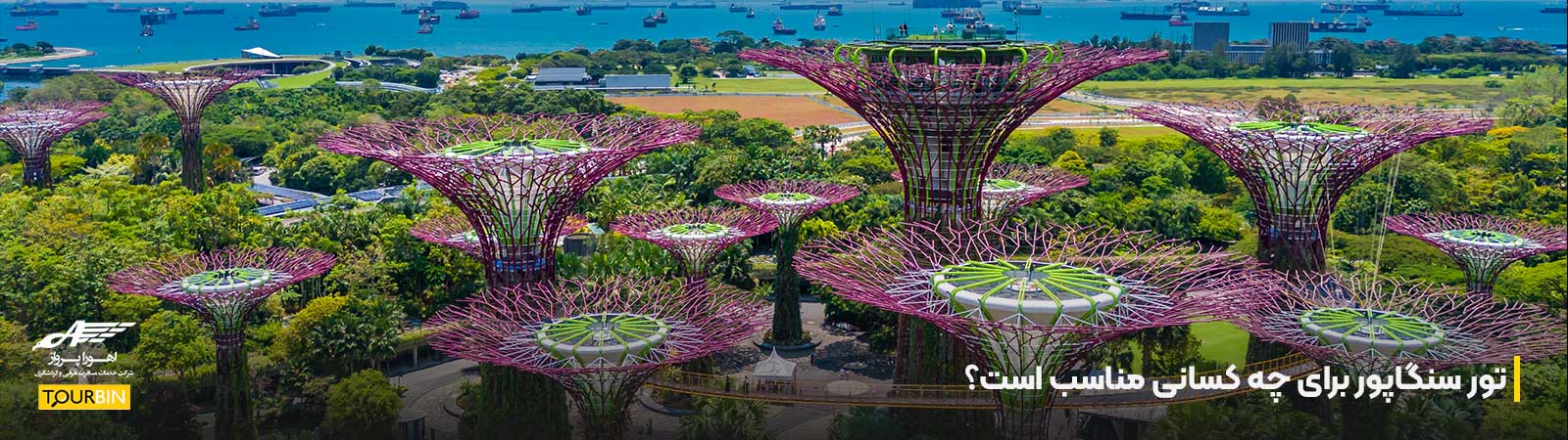 تور سنگاپور برای چه کسانی مناسب است؟
