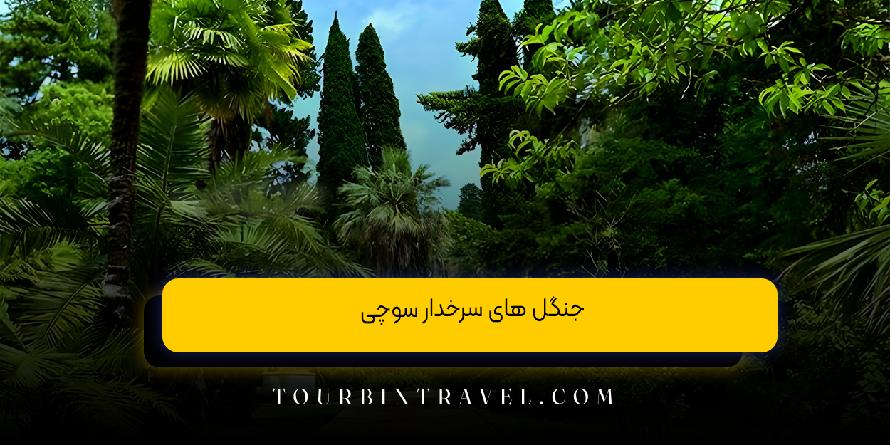 جنگل&zwnj; های سرخدار سوچی