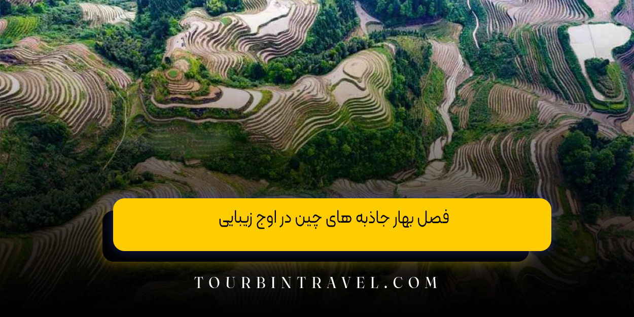 فصل بهار جاذبه ‌های چین در اوج زیبایی